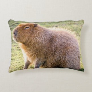 Almofada Decorativa Capybara Cushion