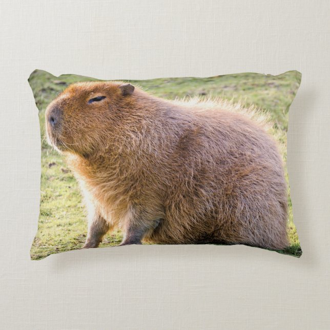 Almofada Decorativa Capybara Cushion (Frente)