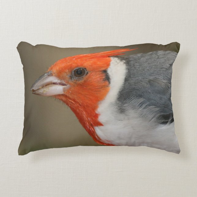 Almofada Decorativa Cardeal com crista vermelho (Frente)