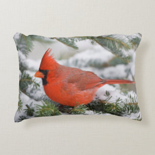 Almofada Decorativa Cardinal-do-norte em árvore de abeto-bálsamo no in
