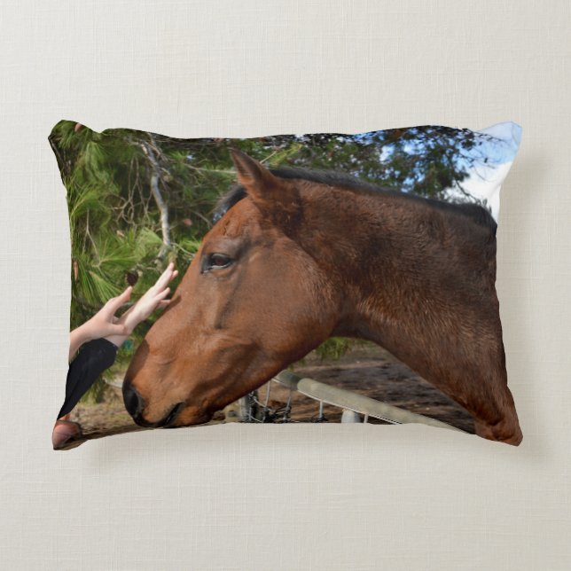 Almofada Decorativa Cavalo Amigo Para Sempre, (Frente)