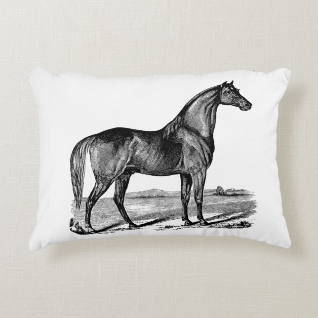 Almofada Decorativa Cavalo Antigo em Pé (Frente)