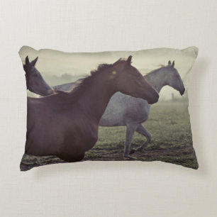 Almofada Decorativa Cavalos selvagens