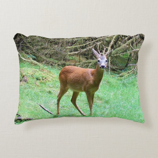 Almofada Decorativa Cervo Roe Macho Posando Personalizável (Frente)