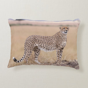 Almofada Decorativa Cheetah