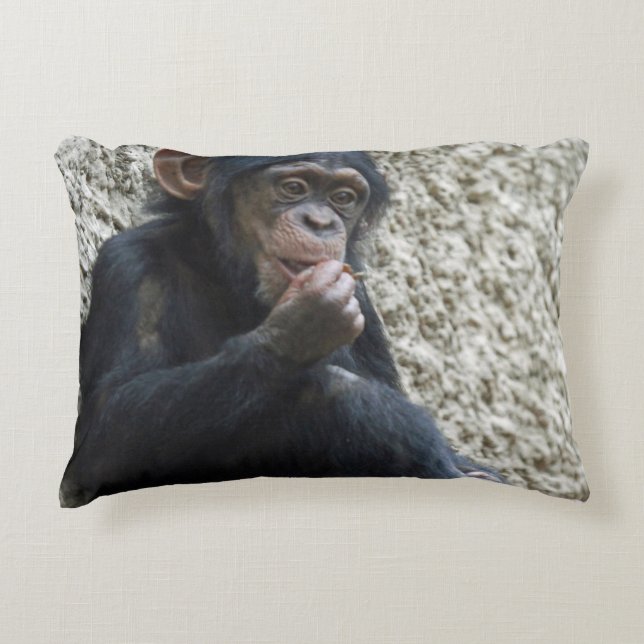 Almofada Decorativa Chimpanzé 013 (Frente)