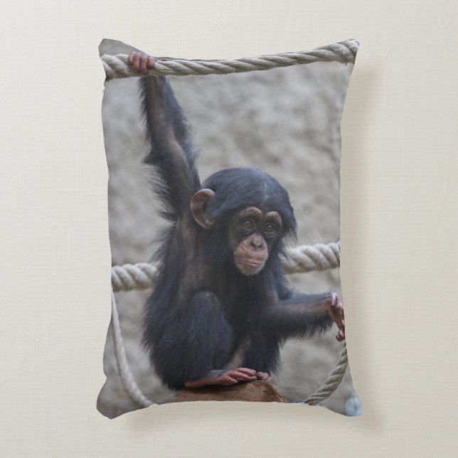Almofada Decorativa Chimpanzé 017 (Frente(Vertical))