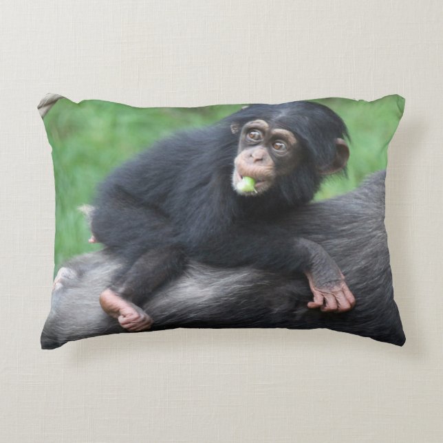 Almofada Decorativa Chimpanzé 032 (Frente)