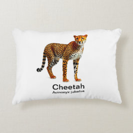 Almofada Decorativa chita num fundo branco