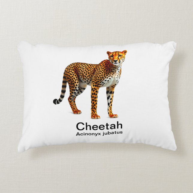 Almofada Decorativa chita num fundo branco (Frente)