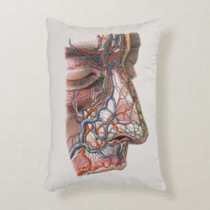 Almofada Decorativa Ciência Vintage Anatomia Humana, Face com Nariz