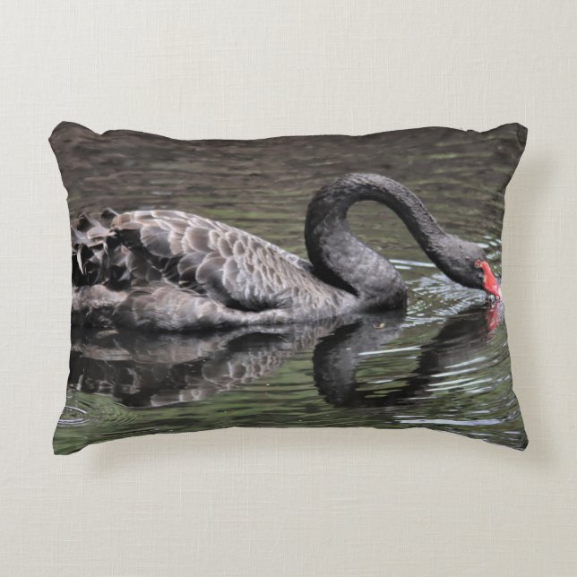 Almofada Decorativa Cisne Negro (Frente)