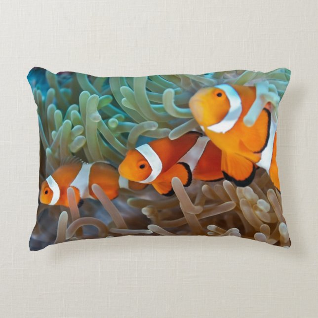Almofada Decorativa Clownfish (Frente)