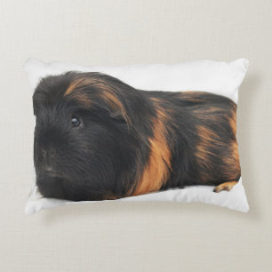 Almofada Decorativa Cobaia