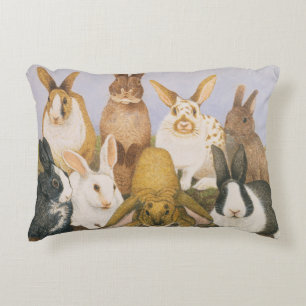 Almofada Decorativa Coelhos afortunados