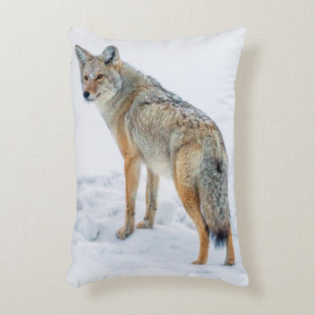 Almofada Decorativa Coio em alerta na neve (Frente(Vertical))
