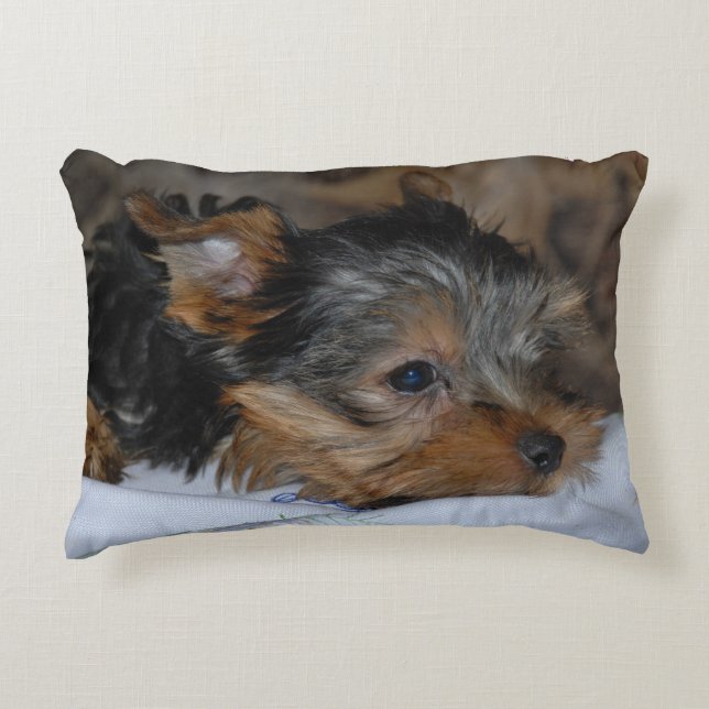 almofada decorativa com um cachorrinho (Frente)