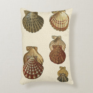 Almofada Decorativa Conchas Antigas Raspadas