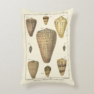 Almofada Decorativa Conchas Vintage Cone