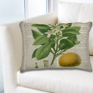 Almofada Decorativa cor de laranja-botânica moderna, francesa vintage