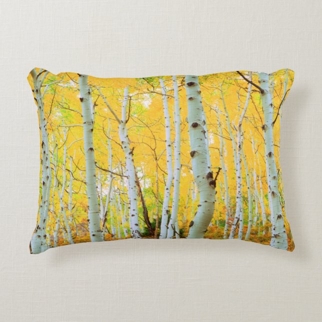 Almofada Decorativa Cores de outono das árvores Aspen 1 (Frente)