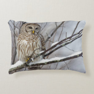Almofada Decorativa Coruja barrada com uma queda de neve clara