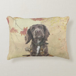 Almofada Decorativa Cupão de chocolate spaniel