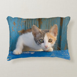 Almofada Decorativa - Curioso engraçado da foto dos olhos do gatinho