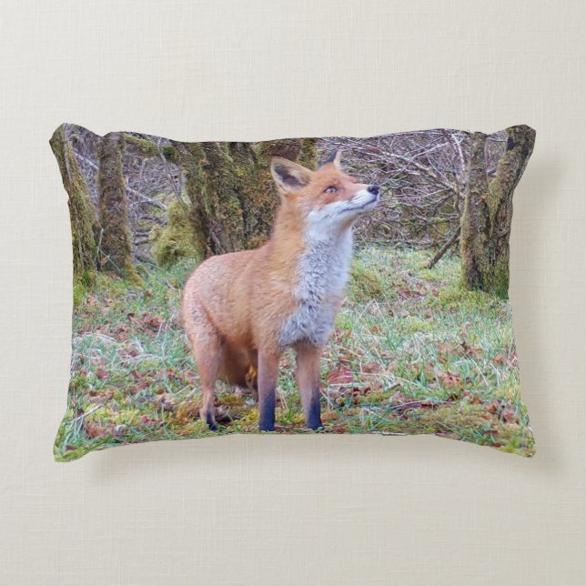 Almofada Decorativa Customisable Red Fox Looking Up Cushion (Frente)