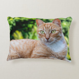 Almofada Decorativa Doce gatinho