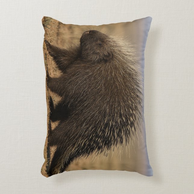 Almofada Decorativa Dog vs. Porcupine Accent Pillow (Frente(Vertical))