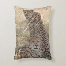 Almofada Decorativa Dois Travesseiros Cheetahs
