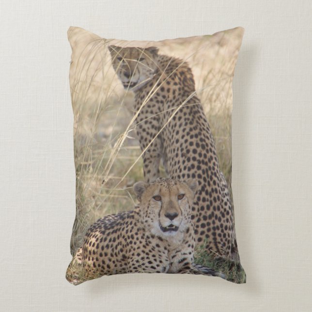 Almofada Decorativa Dois Travesseiros Cheetahs (Frente(Vertical))