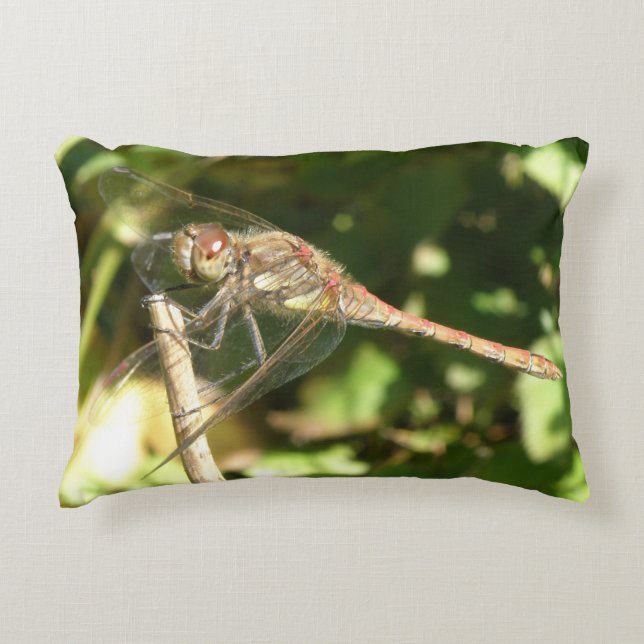 Almofada Decorativa Dragonfly em um Travesseiro Twig (Frente)