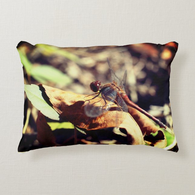 Almofada Decorativa Dragonfly Sobre Folha Seca Fechar (Frente)