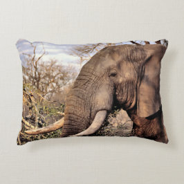 Almofada Decorativa Elephant Lovers Art