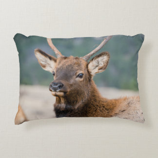 ALMOFADA DECORATIVA ELK NO PARQUE NACIONAL DA MONTANHA DE ROCKY - ELK