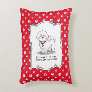 Almofada Decorativa Engraçado Cachorro Raios Raios Raios Raios - Bonit