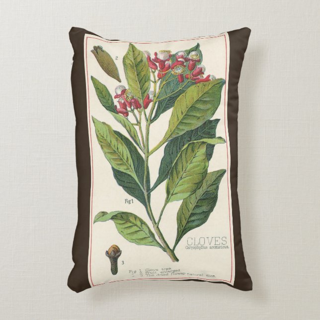 Almofada Decorativa Ervas Especiarias Alimentícias Antigas, Cravo Plan (Frente(Vertical))