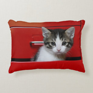Almofada Decorativa Espreitar do gatinho