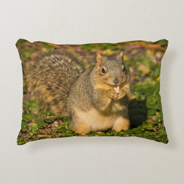 Almofada Decorativa Esquilo cinzento, comendo, amendoim, Crystal Sprin (Frente)