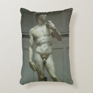 Almofada Decorativa Estátua de David de Michelangelo