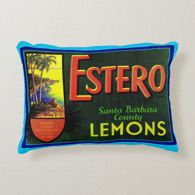 Almofada Decorativa Estero lemons fruta da caixa de impressão dos anos (Frente)
