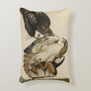 Almofada Decorativa Falcão de cauda vermelha das aves da América de Au