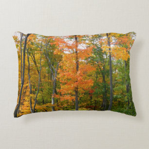 Almofada Decorativa Fall Maple Trees Autumn Nature Fotografia