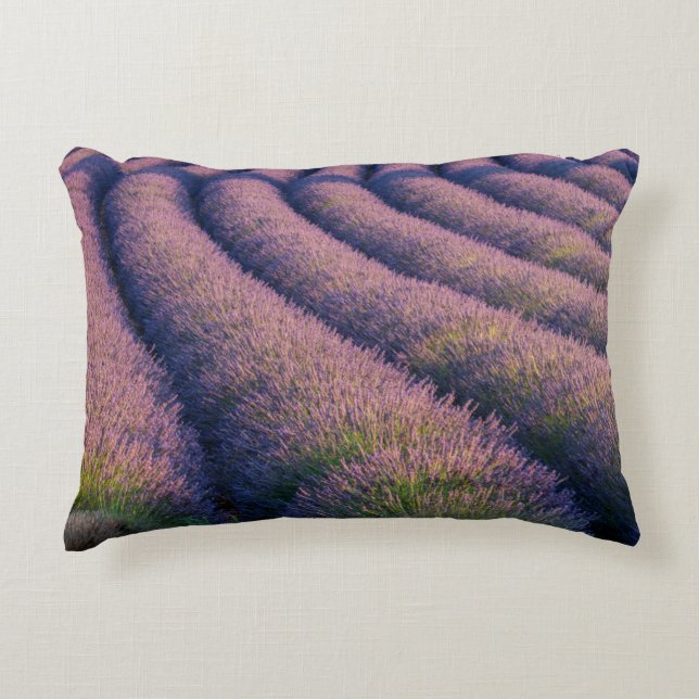 Almofada Decorativa Fileiras de lavanda na Provença (Frente)