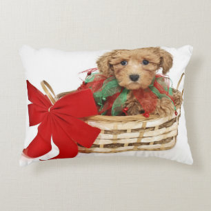 Almofada Decorativa Filhote de cachorro da caniche que senta-se na