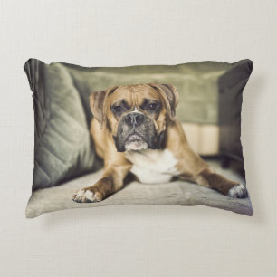 Almofada Decorativa Filhote de cachorro do pugilista da jovem corça