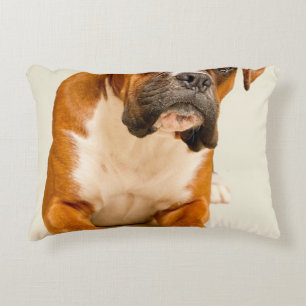 Almofada Decorativa Filhote de cachorro do pugilista no contexto do