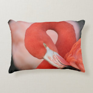 Almofada Decorativa Flamingo 001